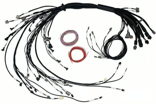 Nexus R5 LSx Non DBW Terminated Harness HT-186206
