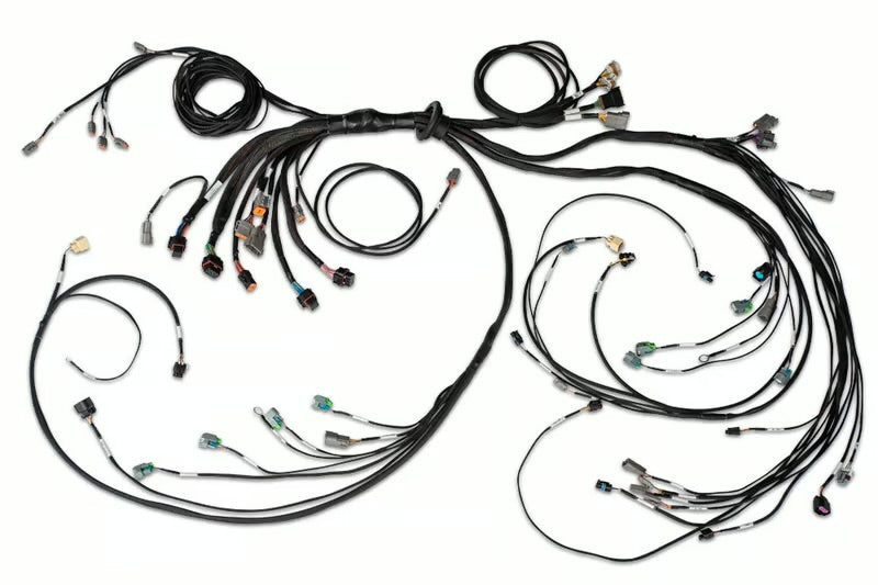 Haltech Nexus R5 LSx DBW Terminated Harness - DBW ready HT-186205